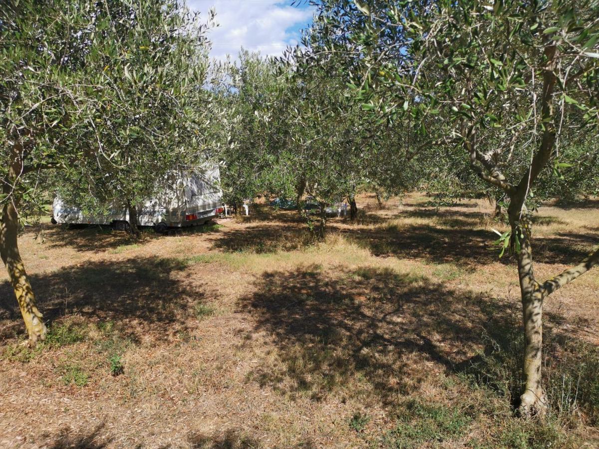 מלון באניולה Camper For Two מראה חיצוני תמונה